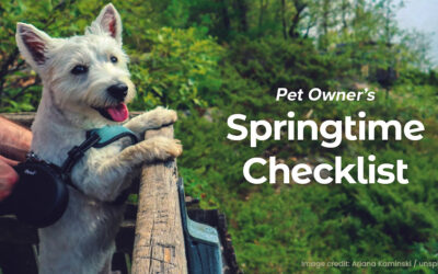 Pet Owner’s Springtime Checklist