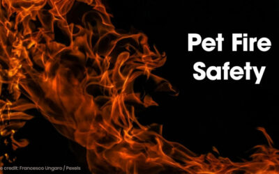 Pet Fire Safety